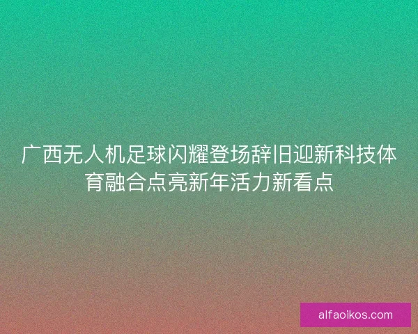 广西无人机足球闪耀登场辞旧迎新科技体育融合点亮新年活力新看点