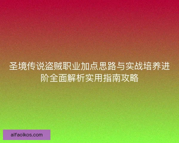 圣境传说盗贼职业加点思路与实战培养进阶全面解析实用指南攻略