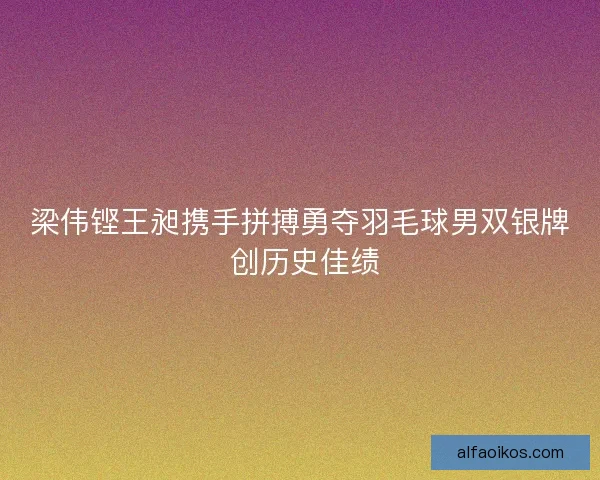 梁伟铿王昶携手拼搏勇夺羽毛球男双银牌 创历史佳绩